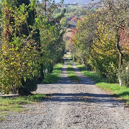 Hébergement de vacances Torma Crasna (Salaj)